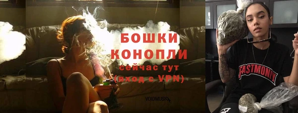 соль ск Бронницы