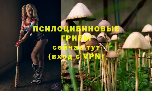 соль ск Бронницы