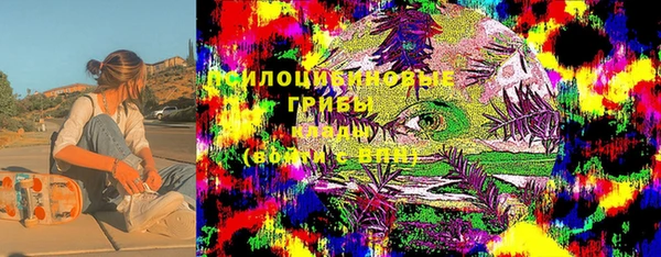 соль ск Бронницы