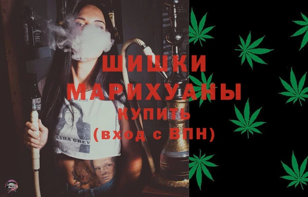 крисы Бугульма